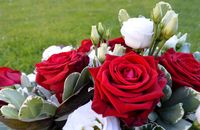 flowers-bouquet-5431489_640