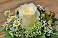 floral-arrangement-453709__340